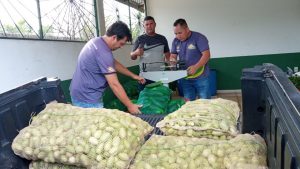 Imagem da notícia - Em Novo Airão, Idam atua na logística de escoamento de 4,7 toneladas de alimentos adquiridas por meio do PAA