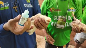 Imagem da notícia - Idam capacita 41 avicultores da Vila de Balbina