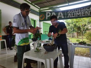 Imagem da notícia - Em Eirunepé, Idam capacita agricultores familiares em boas práticas de Propagação Vegetativa