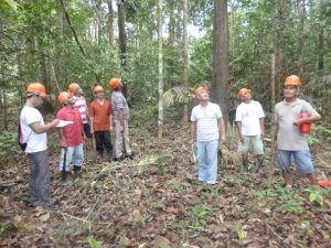 Imagem da notícia - Regularização de empreendimentos madeireiros é pauta de reunião em Itapiranga