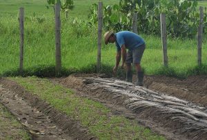 Imagem da notícia - Agricultores do Rio Preto são homenageados pelo IDAM