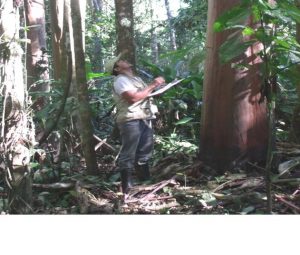 Imagem da notícia - IDAM elabora plano de manejo florestal em Itamarati