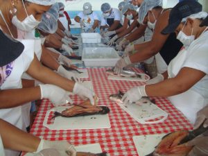 Imagem da notícia - Curso de cozinha regional do tambaqui é realizado em Barcelos