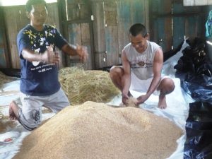 Imagem da notícia - Hoje é comemorado o Dia Internacional dos Povos Indígenas