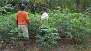Imagem da notícia - Ação itinerante beneficia famílias rurais em Tabatinga