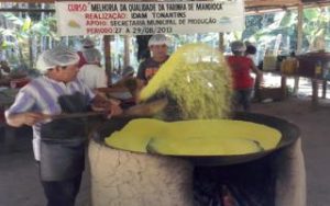 Imagem da notícia - Agricultores são capacitados para boas práticas de fabricação da farinha de mandioca