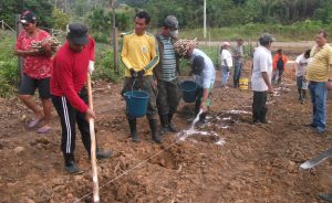 Imagem da notícia - Agricultores serão capacitados para melhorar a qualidade da farinha em Tefé