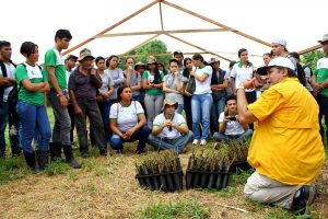 Imagem da notícia - Curso promovido pela Embrapa aborda práticas de base ecológica