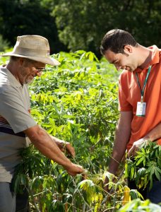 Imagem da notícia - Câmara aprova Projeto de Lei que cria Agência Nacional de Ater (Anater)