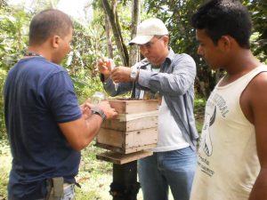 Imagem da notícia - IDAM orienta agricultores sobre alimentação artificial para criação de abelhas sem ferrão