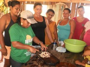 Imagem da notícia - Medicina alternativa desperta interesse em agricultores de Novo Aripuanã