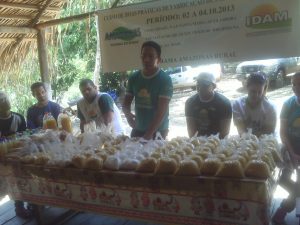 Imagem da notícia - Mandioca adubada para produção de farinha é tema de capacitação e UD em Humaitá