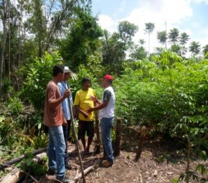 Imagem da notícia - Agricultores de Santo Antônio do Içá recebem mais de 900 mil reais em crédito rural.