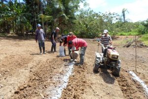 Imagem da notícia - Agricultores participam de DM sobre cultivo de hortaliças