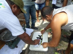Imagem da notícia - Agricultores são capacitados para criação de peixes