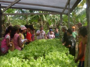 Imagem da notícia - Alunos do ensino fundamental são estimulados para a prática saudável de cultivar hortaliças