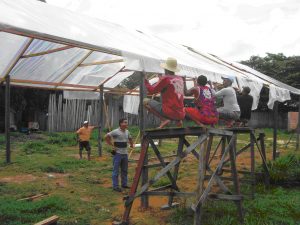 Imagem da notícia - Atividades agrícolas são incentivadas em unidade prisional