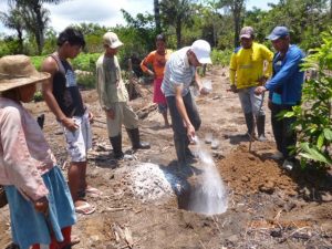 Imagem da notícia - Produção de alimentos em áreas de terra firme é incentivada em Tonantins