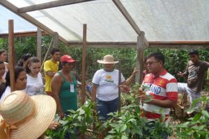 Imagem da notícia - Cultivo protegido de hortaliças é tema de capacitação em Anori