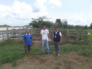 Imagem da notícia - Técnicos do IDAM de Urucurituba recebem capacitação sobre crédito rural