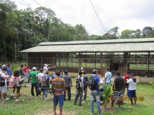 Imagem da notícia - Tefé comprova resultados positivos durante excursão sobre criação de aves caipiras