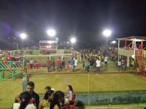 Imagem da notícia - Ipixuna realiza primeira exposição agropecuária