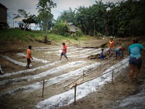Imagem da notícia - Assistência técnica beneficia indígenas com produção de hortaliças