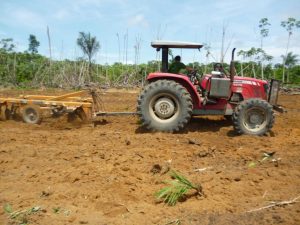 Imagem da notícia - Projeto Fundo Amazônia beneficia famílias rurais de Vila Extrema/Sul de Lábrea