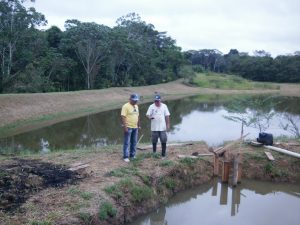 Imagem da notícia - Benjamin Constant registra avanços na piscicultura