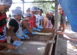 Imagem da notícia - Governo capacita agricultores na fabricação e melhoria da qualidade da farinha