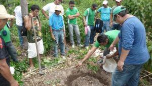 Imagem da notícia - Extensionistas rurais incentivam agricultores a utilizarem novas tecnologias