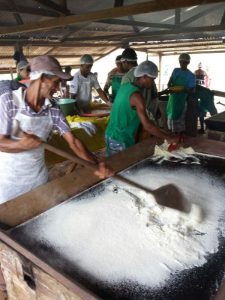 Imagem da notícia - Agricultores são orientados a produzir farinha dentro dos padrões de qualidade