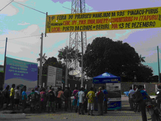 Imagem da notícia - Feira do Pirarucu e Festa da Castanha movimentam economia em Beruri