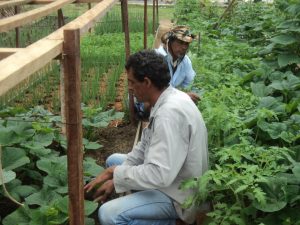 Imagem da notícia - Detentos da Unidade Prisional de Canutama contribuem com a agricultura familiar