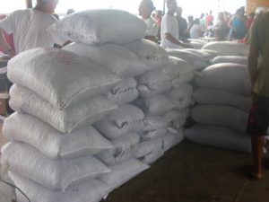 Imagem da notícia - Produção de açaí movimenta economia em Codajás