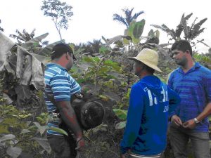 Imagem da notícia - Famílias rurais de Barreirinha são beneficiadas com mutirão de ATER