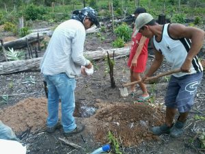 Imagem da notícia - Demonstração de Método sobre adubação de cova é realizada em Barreirinha