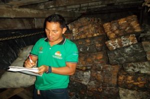 Imagem da notícia - Extrativistas de Lábrea comercializam Borracha Natural Bruta para fabricação de pneus