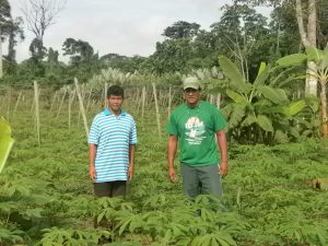 Imagem da notícia - Técnicos do IDAM realizam diagnóstico de comunidades rurais em Novo Aripuanã
