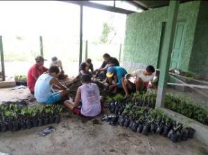 Imagem da notícia - IDAM/Anamã incentiva agricultores familiares no aumento na produção agrícola