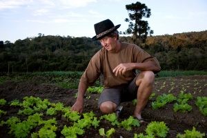 Imagem da notícia - Agricultores e assentados terão até 30 de junho para renegociar dívidas