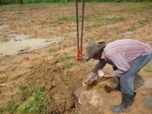 Imagem da notícia - Agricultores de Boca do Acre beneficiados com o Projeto Fundo Amazônia recebem visita técnica do IDAM