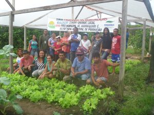Imagem da notícia - IDAM incentiva agricultores a trabalhar com cultivo pretegido de hortaliças