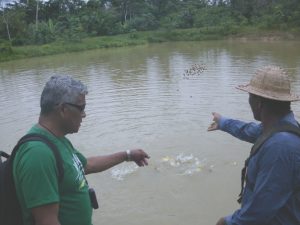 Imagem da notícia - IDAM incentiva a piscicultura em Benjamin Constant