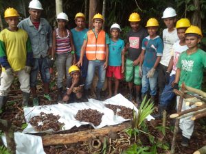 Imagem da notícia - Curso de Boas Práticas de Coleta de Castanha do Brasil incentiva sustentabilidade em Japurá