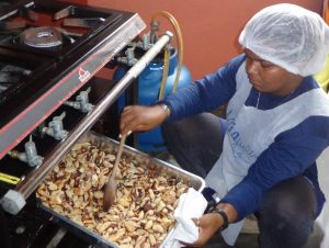 Imagem da notícia - Beneficiamento do cupuaçu e castanha do Brasil pretende aumentar renda de agricultores em Canutama