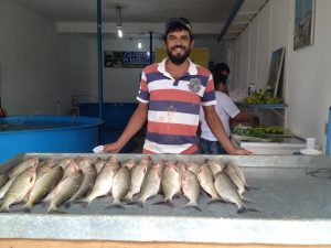 Imagem da notícia - Feira de peixe vivo comercializa mais de 17 toneladas em Coari
