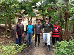 Imagem da notícia - Plano Brasil Sem Miséria vai beneficiar 300 famílias rurais no município de Envira
