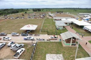 Imagem da notícia - 3ª Expoboca: Mais de 5 mil pessoas são esperadas durante o evento