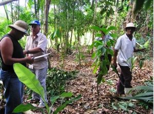 Imagem da notícia - IDAM participa de Encontro Nacional de Agroecologia em Juazeiro (BA)